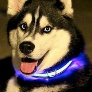 2 PCS Set Nylon LED Dog Collar