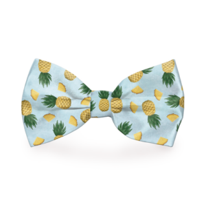 Tropic Like It's Hot Pineapple Dog Bow Tie