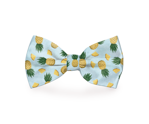 Who_lives_in_a_pinapple_under_the_sea.png