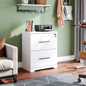 2 Drawer White Wood Lateral File Cabinet With Lock For Office Or Home